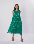 Avni