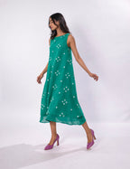 Avni