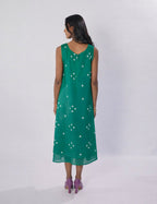 Avni