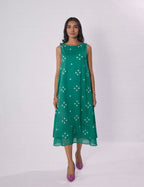 Avni